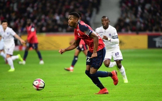 稳固的防线 稳固的防线