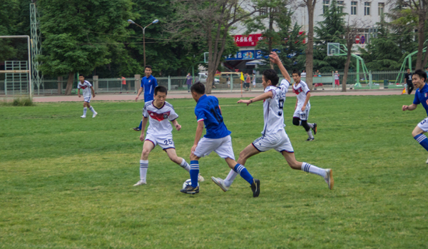 荷兰的脚踏 荷兰的脚踏