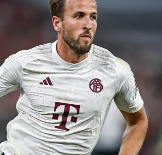 俱乐部整体 俱乐部整体