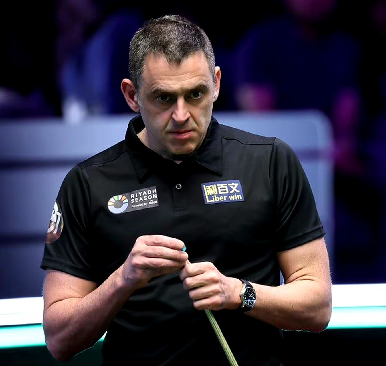 魔法石或凤 魔法石或凤